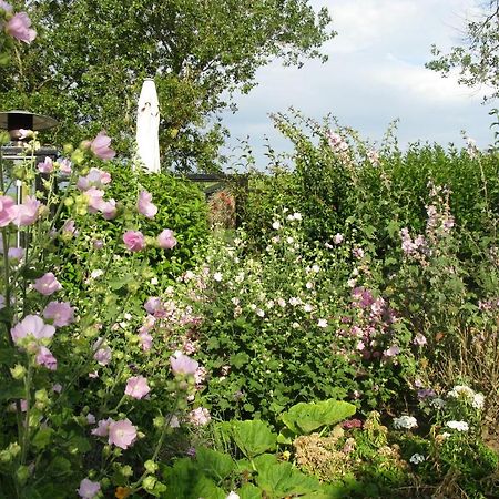 B&B Texels Groen Oudeschild Zewnętrze zdjęcie